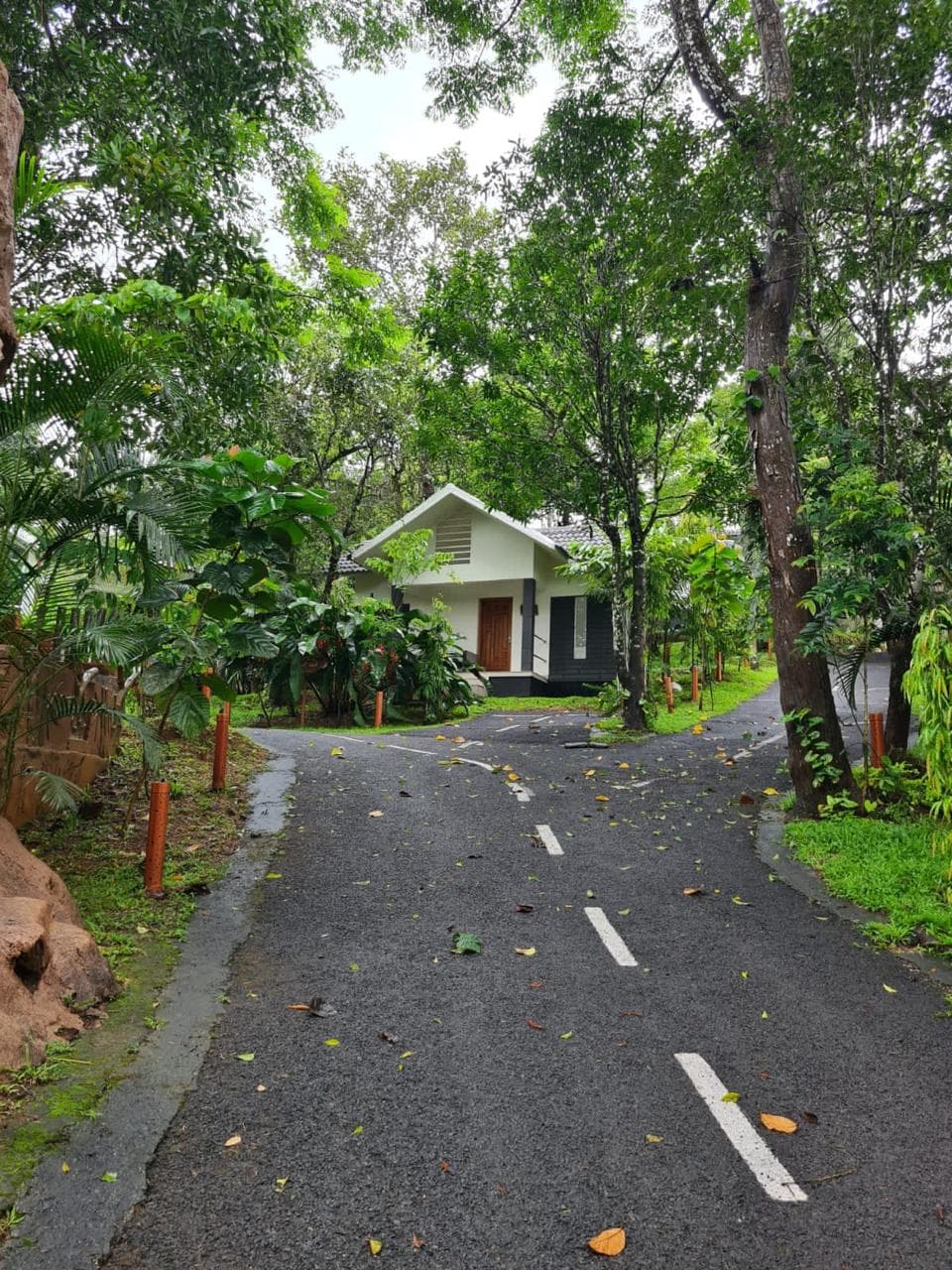 Saj Resort