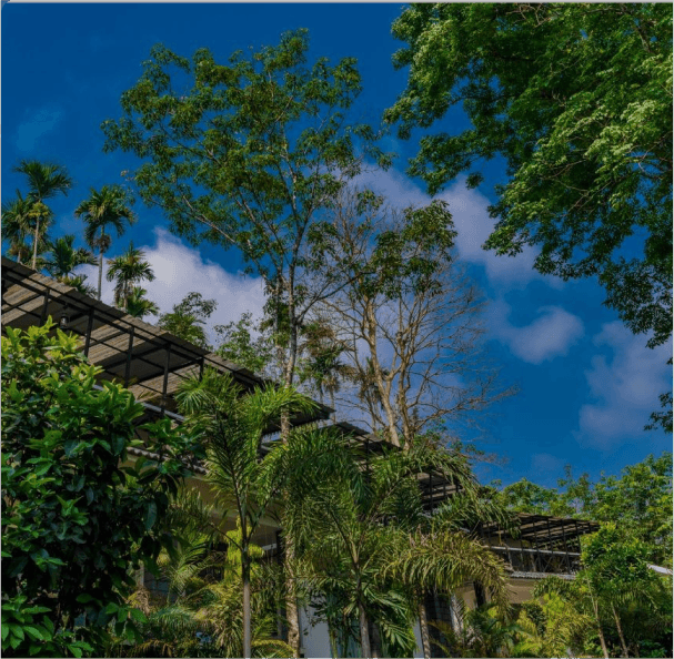 Luxury Lodges